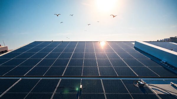 7 raisons obopligatoires d'opter pour des panneaux solaires